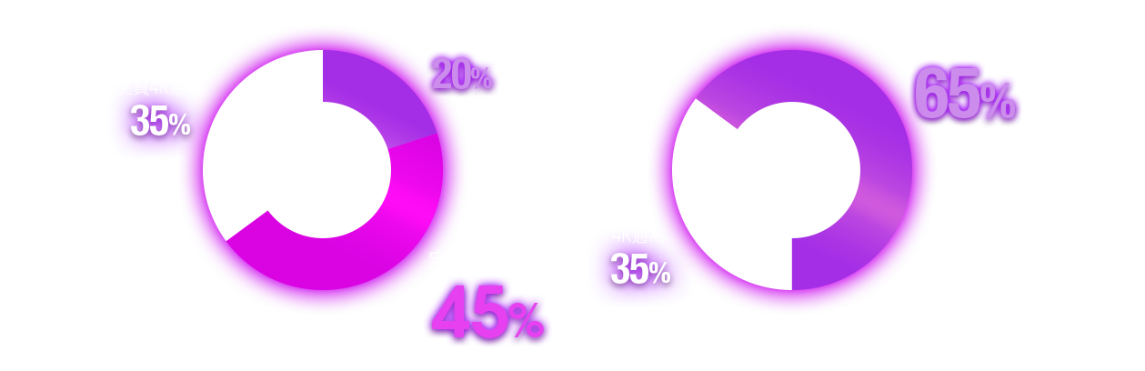 実質4R通常 35%,実質4R通常 45%,16R高確率 20%,16R高確率 65%,4R通常 35%